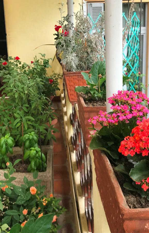 Casa Di Nonna Bed & Breakfast Vercelli Exterior photo