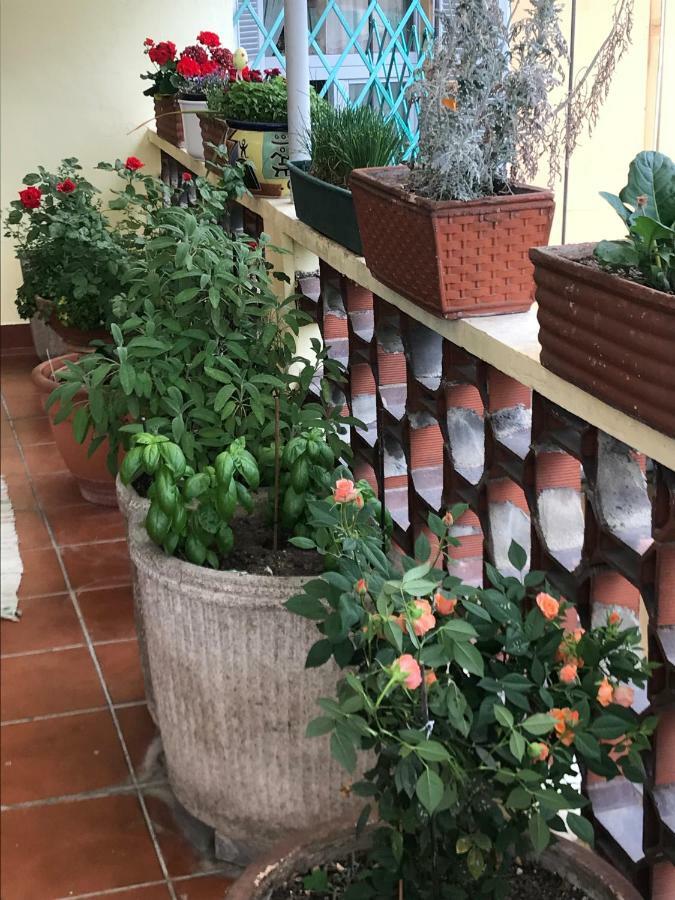 Casa Di Nonna Bed & Breakfast Vercelli Exterior photo